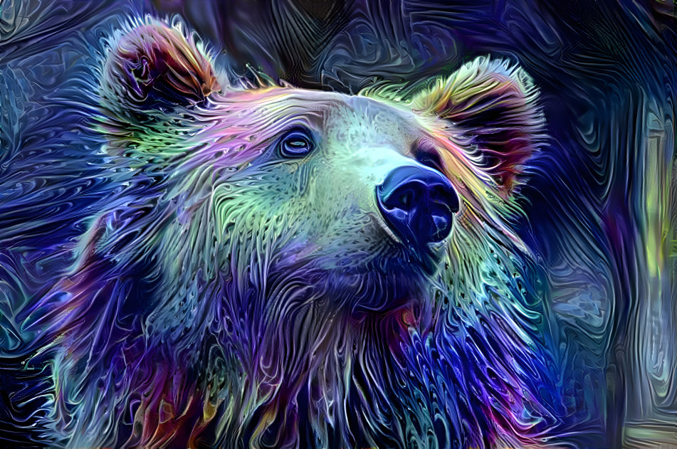 bear