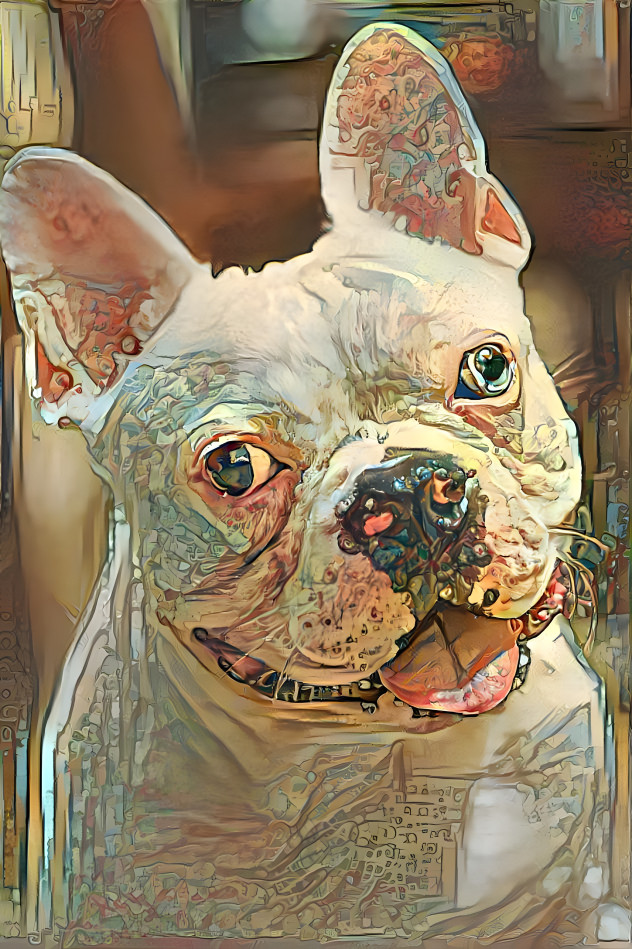 bulldog