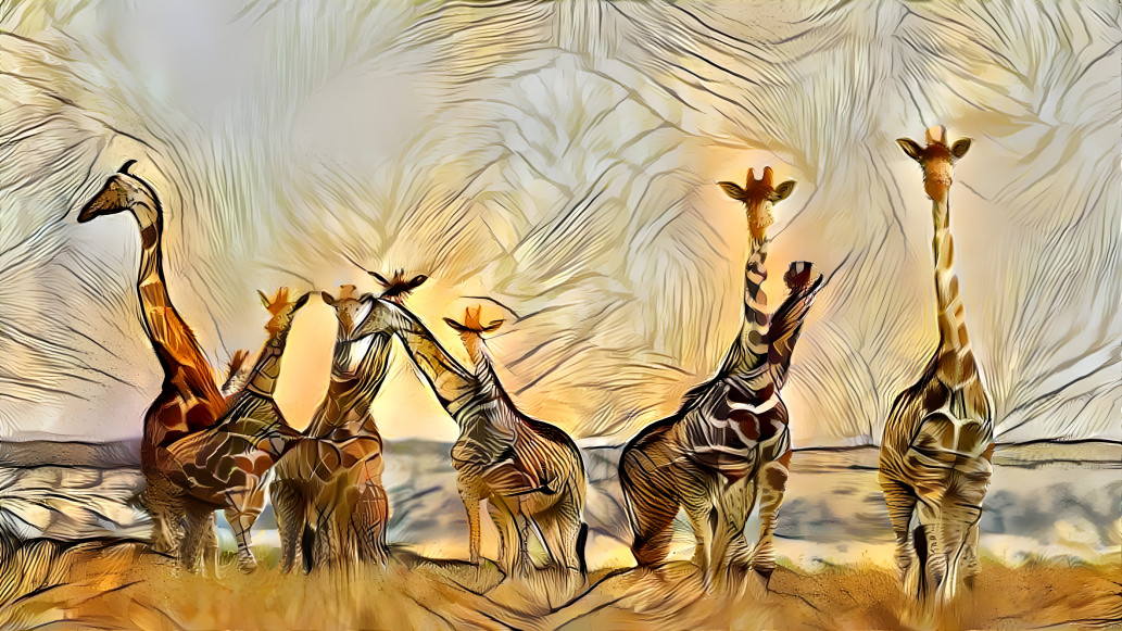 giraffes