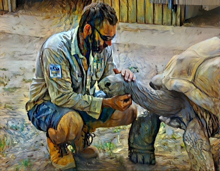 tortoise love