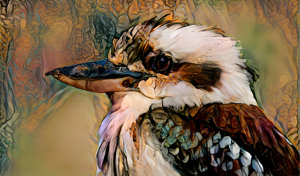 kookaburra