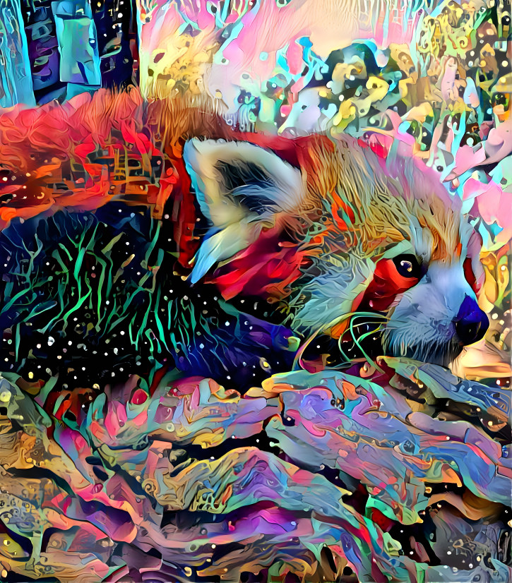 red panda