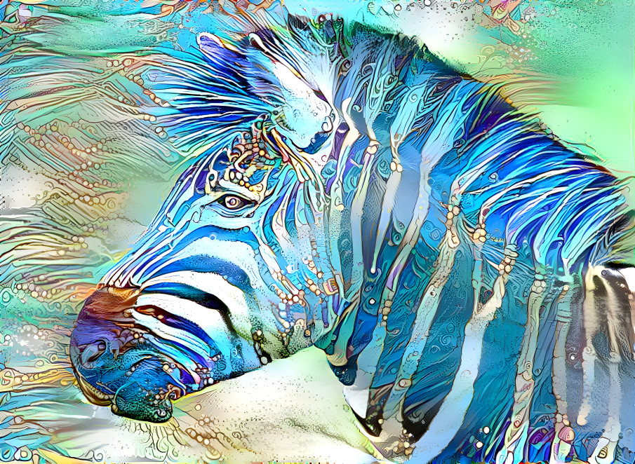 zebra