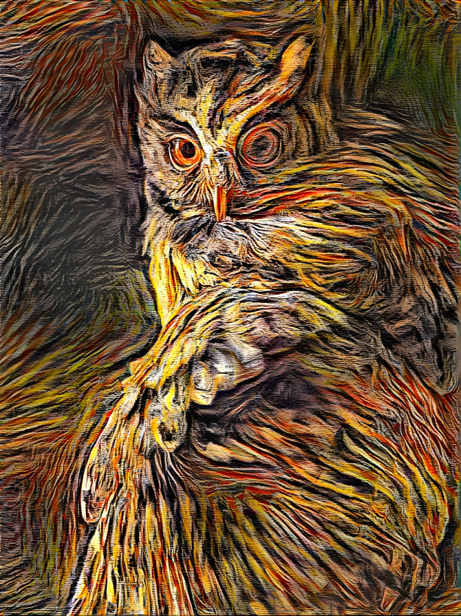 owl