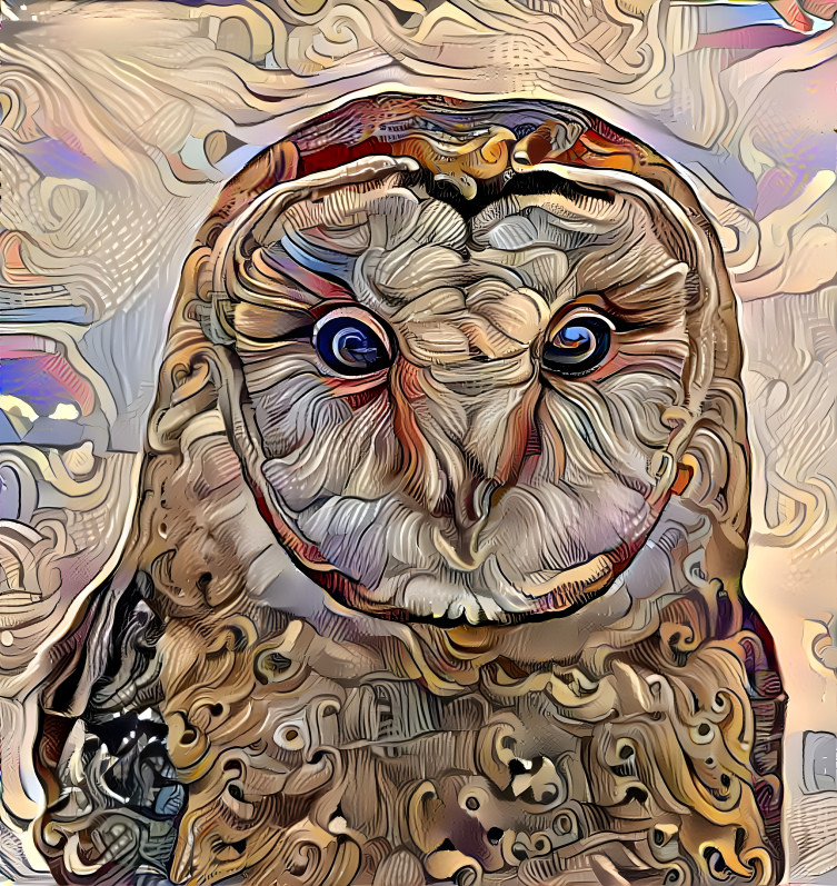 owl