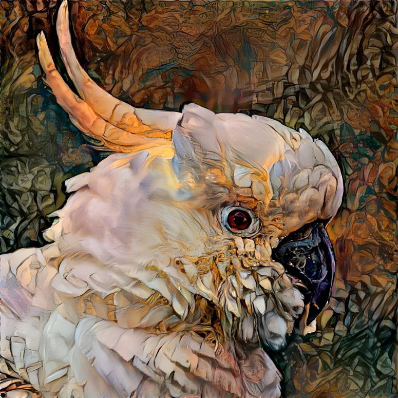 cockatoo