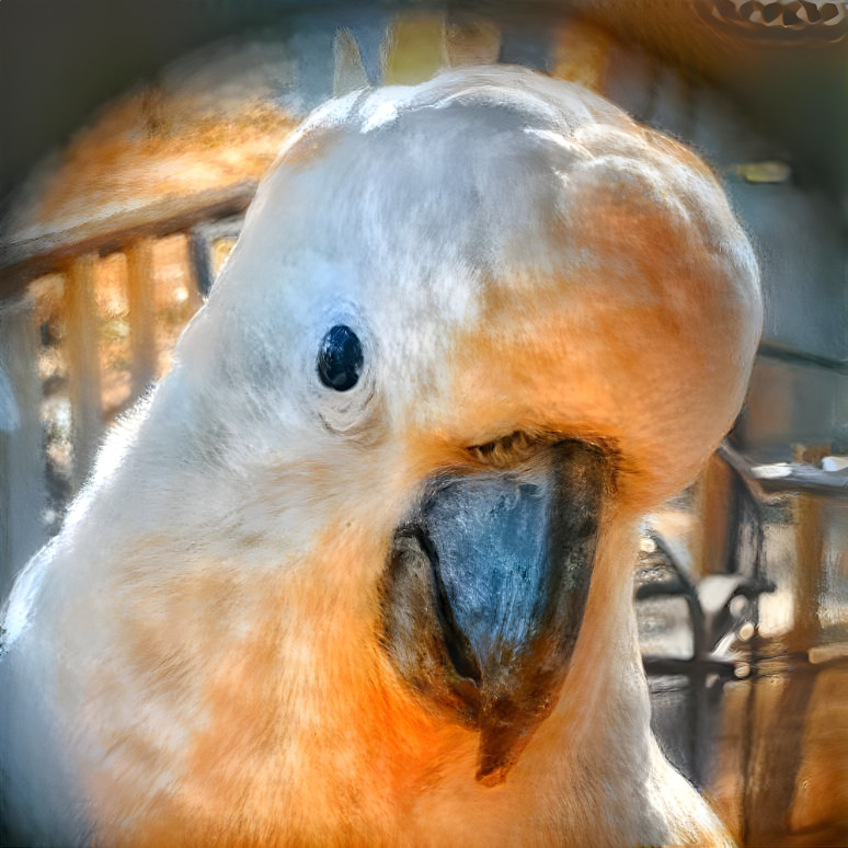 cockatoo