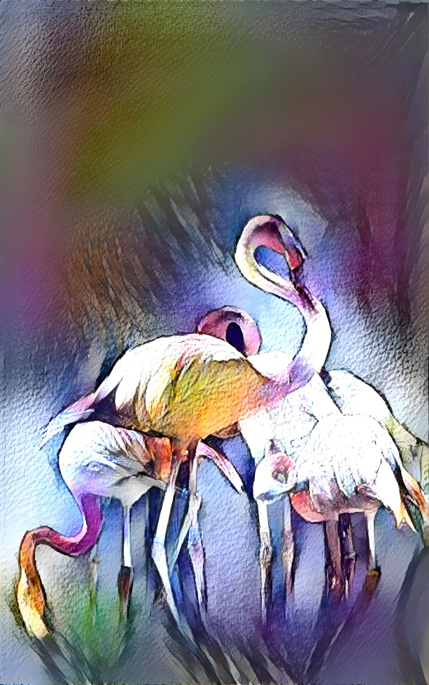 flamingoes