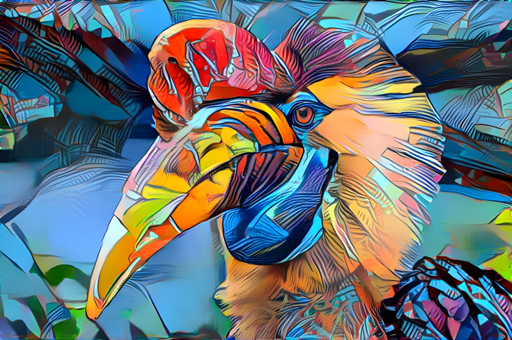 Toucan