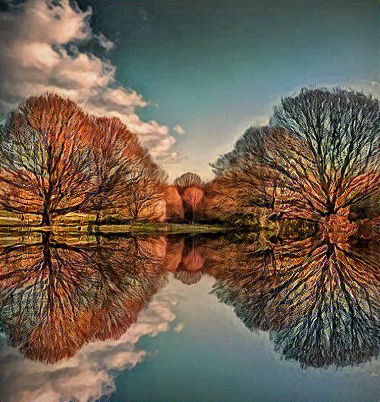 Symmetric reflections