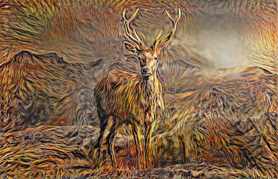 Mountain Elk