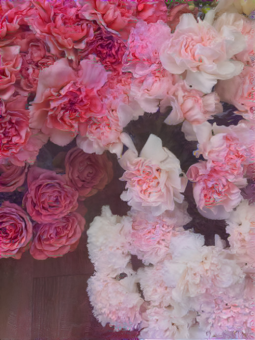 Pink Carnations