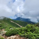 Vibrant green hills with golden trees, misty blue mountains under cloudy sky