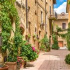 Pastel buildings with greenery and flowers in charming alley