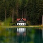 Tranquil Lakeside Wooden Cabin in Pine Forest