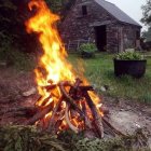 Rustic cabin with bonfire in lush greenery at dusk