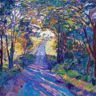Colorful forest path with dappled sunlight and shadows