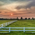 Swirling Skies Landscape with Cypress Trees and Meadow