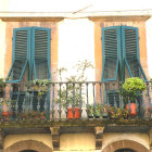 Ornate windows with blue shutters, colorful flowers, and butterfly on white wall