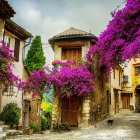 Traditional courtyard with vibrant bougainvillea and lush greenery under clear sky