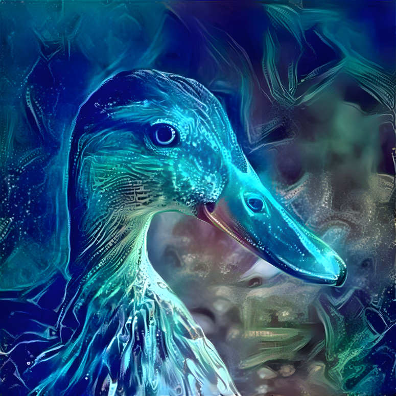 duck