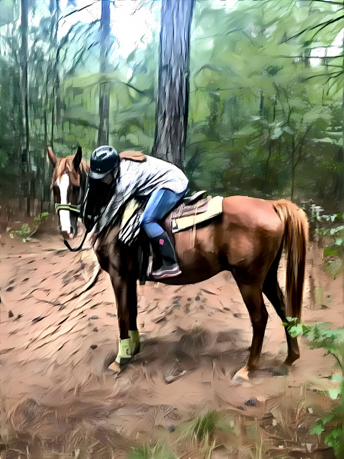 Forest Ride