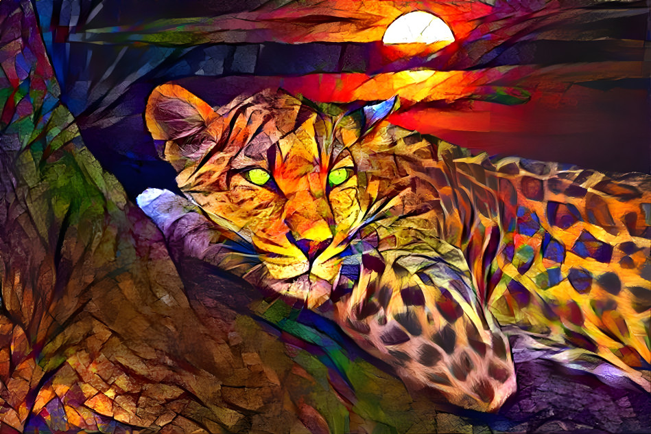 Leopard and the sunset. Who does not like the suns