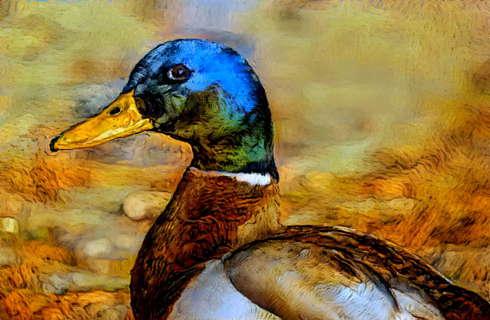 Blue-Greenish Duck