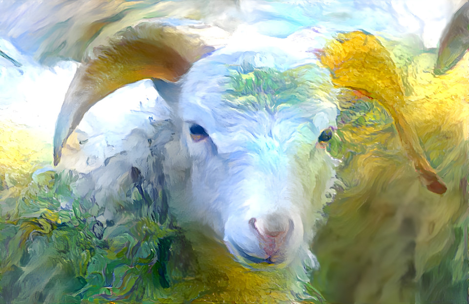 Angelic Sheep