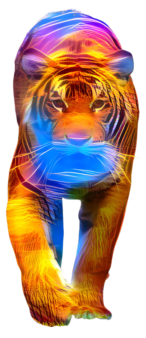 paradise tiger