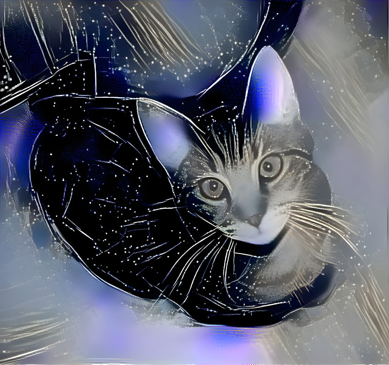 star cat