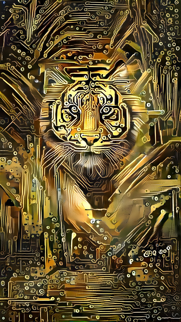 Circuit Tiger