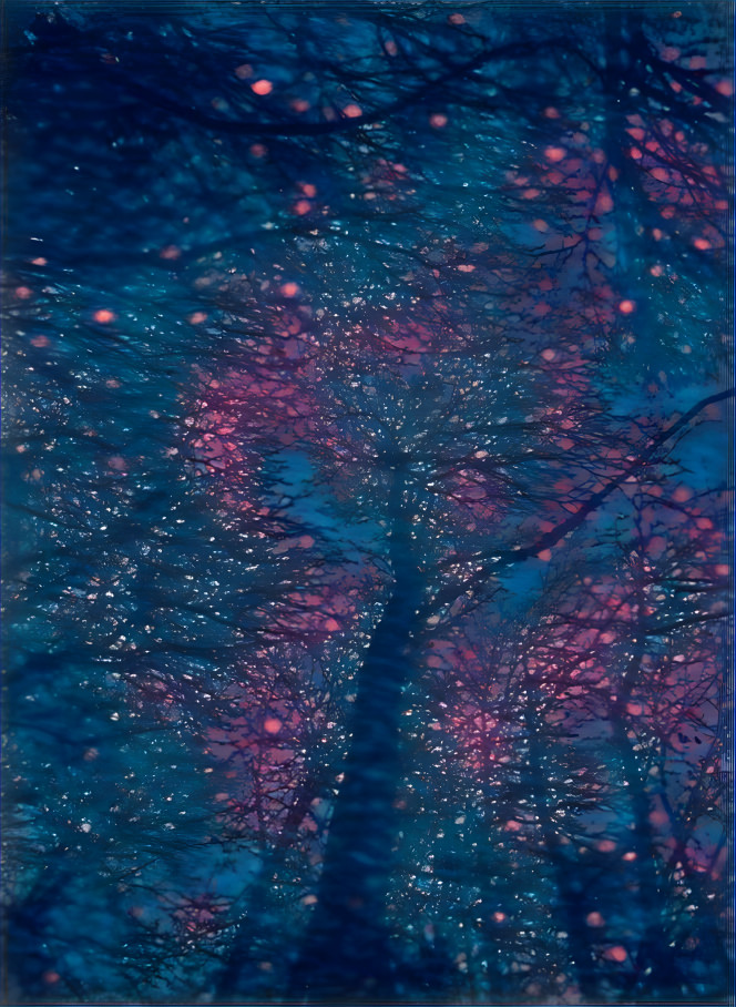 Starlight forest