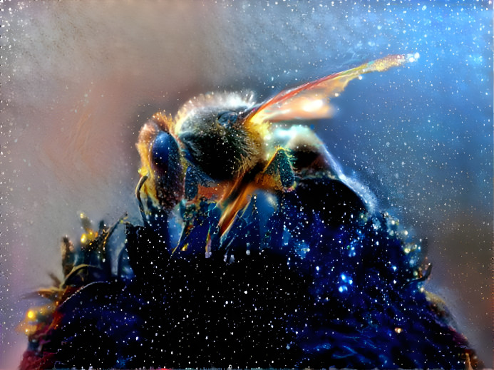 bee 