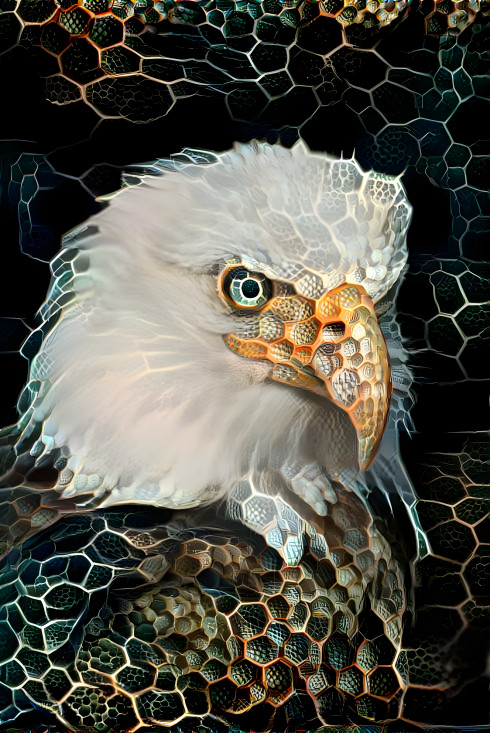 eagle 2