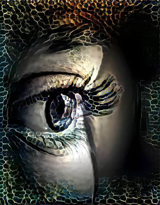 eye 6