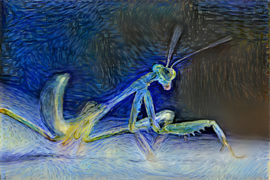 praying mantis