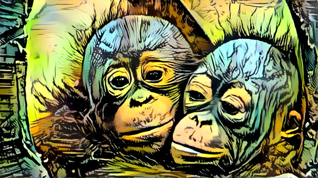 Dream Monkeys