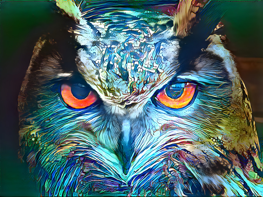 owl