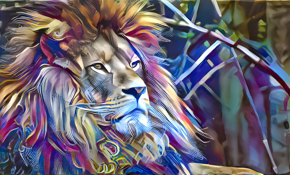 king lion 