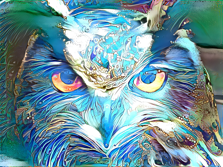 owl