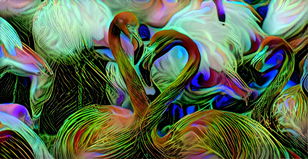 flamingos