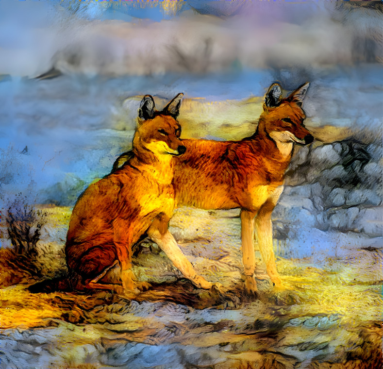 Ethiopian Wolf#0002