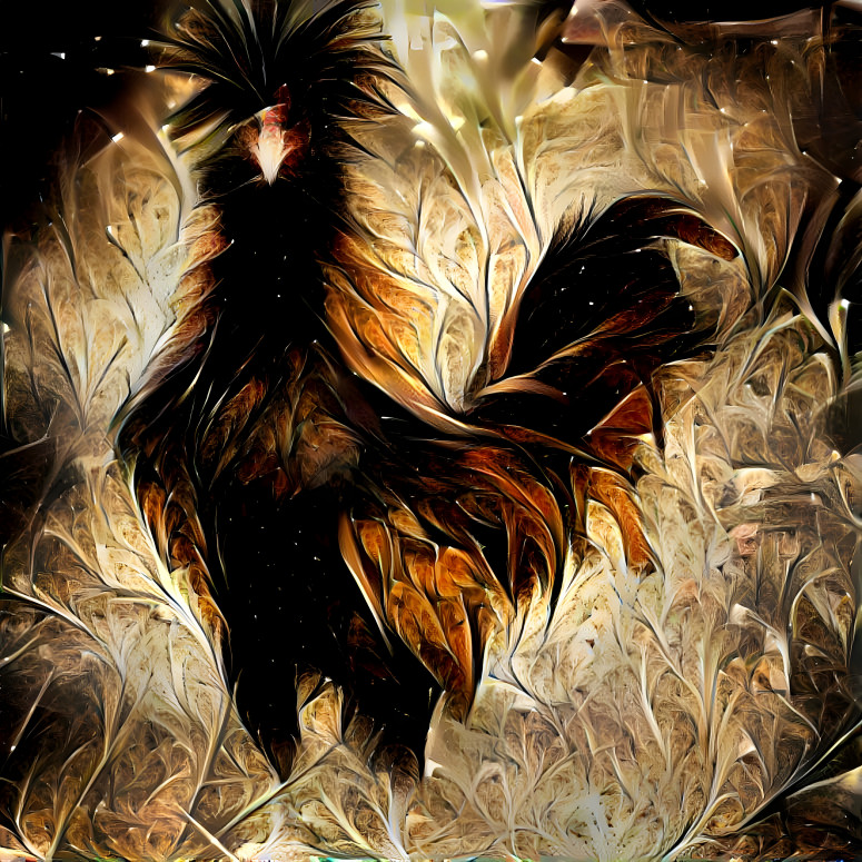 coq2