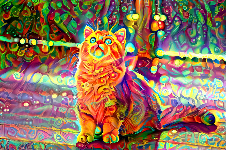 fantasy cat