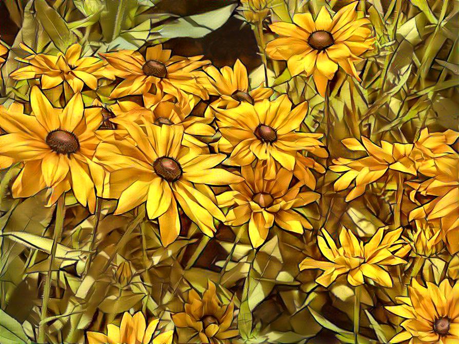 more black-eyed susans