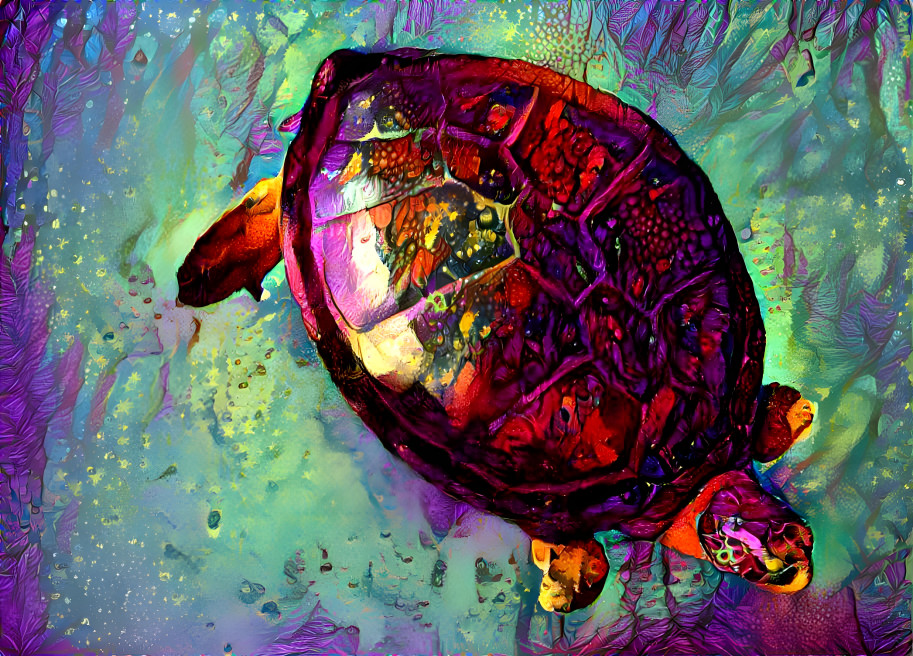 rainbow turtle