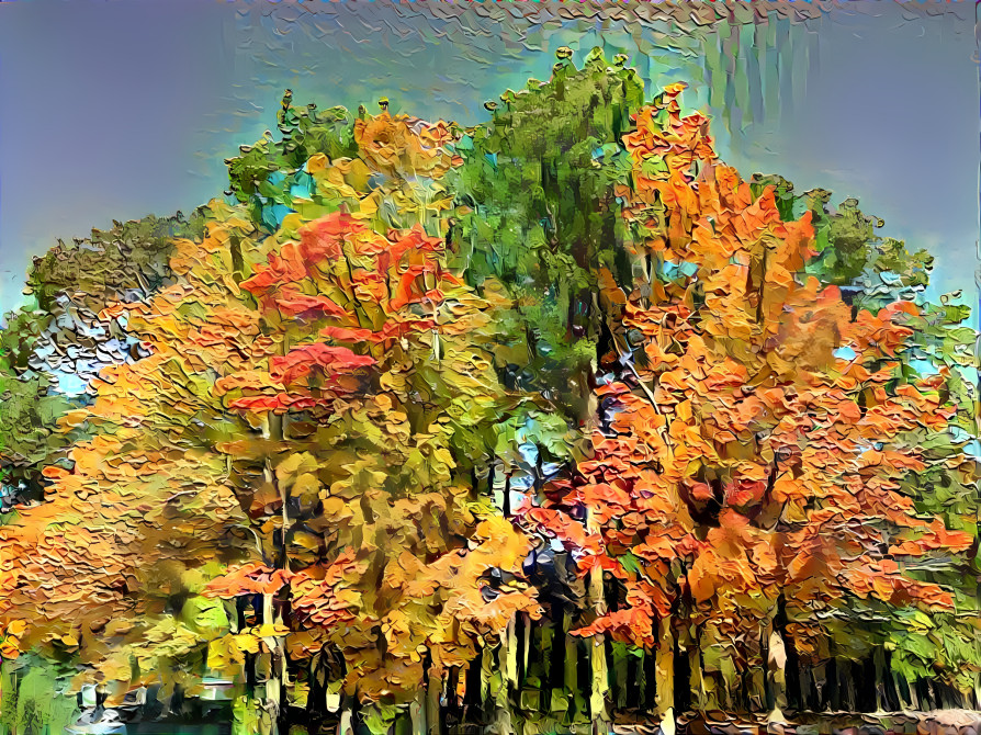 autumn trees