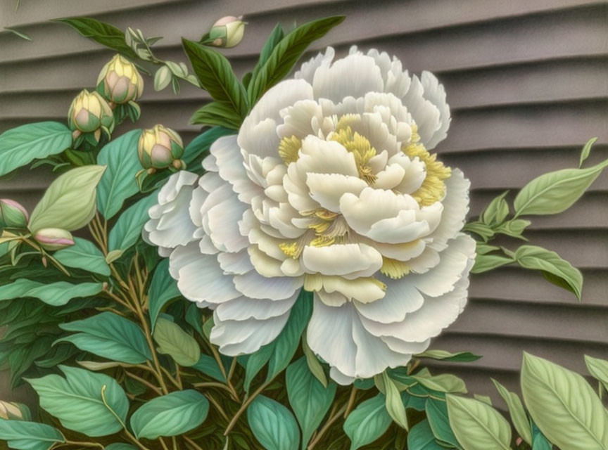 Large White Peony Mural on Gray Corrugated Background