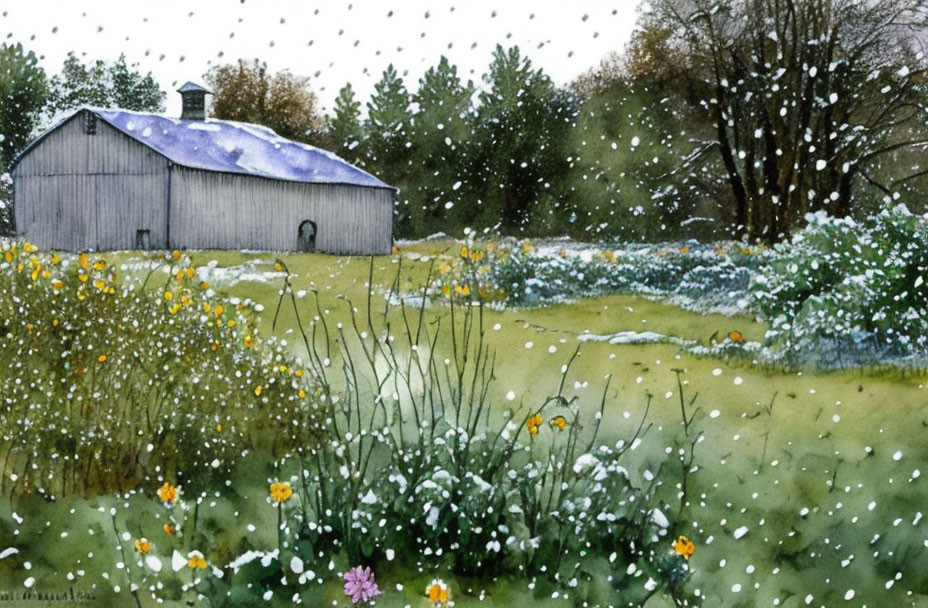 Rustic barn in wildflower field with snowfall and trees